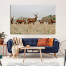 Rustic Deer Wall Art Canvas Print – Autumn Forest Woodland