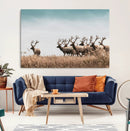 Elk Herd Wall Art Canvas Print – Framed Wildlife Photography
