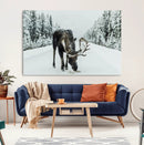Moose Snow Wall Art Canvas Print – Framed Winter Wildlife