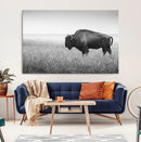 Black White Bison Canvas Wall Art, Rustic American Buffalo by MyGreatCanvas | Canvas Wall Art Prints | Photo Prints & Wall Decor