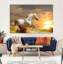 White Horse Running Canvas Sunset Wall Art by MyGreatCanvas | Canvas Wall Art Prints | Photo Prints & Wall Decor