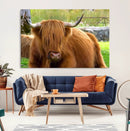 Highland Cow Wall Art, Rustic Farm Animal Canvas Print, Long by MyGreatCanvas | Canvas Wall Art Prints | Photo Prints & Wall Decor