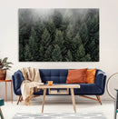 Dense Evergreen Forest Misty Morning Fog Pine Trees Woodland by MyGreatCanvas | Canvas Wall Art Prints | Photo Prints & Wall Decor