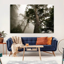 Misty Forest Canvas, Tall Trees Foggy Atmosphere Nature by MyGreatCanvas | Canvas Wall Art Prints | Photo Prints & Wall Decor
