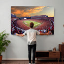 Dooley Stadium Wall Art, Sports Arena Canvas Print, Dooley
