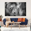 Wild Old Elephant Wall Art Canvas Print