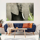 Wild Elephant Wall Art Canvas Print by MyGreatCanvas | Canvas Wall Art Prints | Photo Prints & Wall Decor