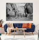 Wild Elephant Wall Art Canvas Print by MyGreatCanvas | Canvas Wall Art Prints | Photo Prints & Wall Decor
