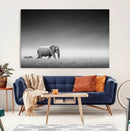Elephand and Zebra Wall Art Canvas Print, Modern Artwork