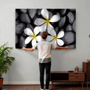 Plumeria Frangipani Black Stone Canvas | White Flower Spa by MyGreatCanvas | Canvas Wall Art Prints | Photo Prints & Wall Decor