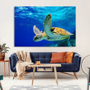 Sea Turtle Wall Art Canvas Print, Sea life in the Ocean Wall