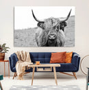 Newfoundland Cow Art Wall Art, Black White Cow Art Wall Art