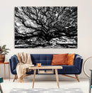 Mighty Angel Oak Wall Art | Angel Oak Tree Art Print by MyGreatCanvas | Canvas Wall Art Prints | Photo Prints & Wall Decor