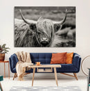 Cow Focus Canvas Wall Art Print by MyGreatCanvas | Canvas Wall Art Prints | Photo Prints & Wall Decor