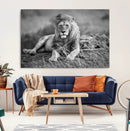 King Forest Lion Wall Art Canvas Print – Framed Majestic by MyGreatCanvas | Canvas Wall Art Prints | Photo Prints & Wall Decor