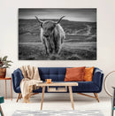 Fluffy Cattle Wall Art Print, Highland Cow Canvas, Framed by MyGreatCanvas | Canvas Wall Art Prints | Photo Prints & Wall Decor