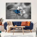 Blue Butterfly Black and White Canvas Wall Art by MyGreatCanvas | Canvas Wall Art Prints | Photo Prints & Wall Decor