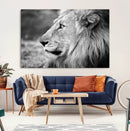 Lion Wall Art Canvas Print – Framed Majestic Wildlife by MyGreatCanvas | Canvas Wall Art Prints | Photo Prints & Wall Decor
