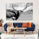 Cattle Wall Art Longhorn Cow Canvas Print