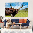 Longhorn and Cow Wall Art, Country Cow Wall Decor Canvas by MyGreatCanvas | Canvas Wall Art Prints | Photo Prints & Wall Decor