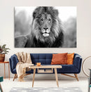 Black and White Lion Canvas Wall Art – Animal Print Artwork