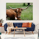 Longhorn Cow Animal Wall Art Canvas Print by MyGreatCanvas | Canvas Wall Art Prints | Photo Prints & Wall Decor