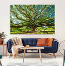 Majestic Oak Tree Wall Art – Serene Nature Canvas Print with