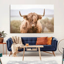 Scottish Serene Highland Cow Canvas Wall Art – Serene