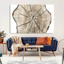 Abstract Wood Tree Ring Wall Art - Ready to Hang Minimalist
