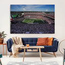 South Carolina Gamecocks Football Team Print - Columbia
