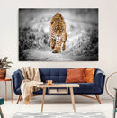 Jaguar Wall Art Canvas Print - Majestic Big Cat in Focused by MyGreatCanvas | Canvas Wall Art Prints | Photo Prints & Wall Decor