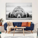 Resting Grizzly Bear Wall Art Canvas Print – Majestic Lazy by MyGreatCanvas | Canvas Wall Art Prints | Photo Prints & Wall Decor