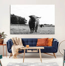 Black and White Highland Cow Wall Art Canvas Print | Rustic