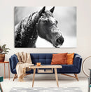 Horse Canvas Print - Winter Horse Snow Wall Art Canvas Print
