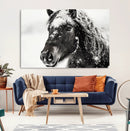 Framed Black and White Horse Wall Art | Ready to Hang and by MyGreatCanvas | Canvas Wall Art Prints | Photo Prints & Wall Decor
