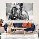 Black and White Horse Winter Wall Art | Ready to Hang and