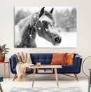 Black Horse Winter Wall Art | Ready to Hang and Framed |
