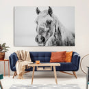 White Horse Wall Art | Ready to Hang and Framed | Winter