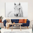 Majestic White Horse Wall Art | Ready to Hang and Framed |