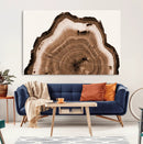 Rustic Wood Rings Wall Art | Nature-Inspired Tree Ring