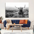 Scottish Highland Cow Wall Art | Black and White Canvas
