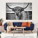 Scottish Highland Cow Wall Art Canvas Print | Ready to Hang