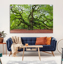 Framed Angel Oak Tree Wall Art - 3-Panel Canvas Prints,