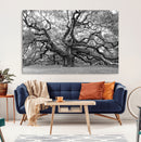 Black White Angel Oak Tree Wall Art - Timeless