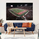 Houston Cougars Football Team Print - Houston TDECU Stadium