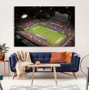 Florida Atlantic University Owls Canvas Print, Football Team by MyGreatCanvas | Canvas Wall Art Prints | Photo Prints & Wall Decor