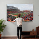 University of Illinois Fighting Illini Football Team Print -