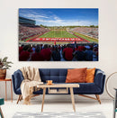 Ball State Cardinals Football Team Print - Muncie Scheumann