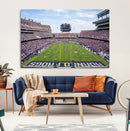 TCU Horned Frogs Football Team Print - Fort Worth Amon G.