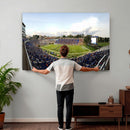 The Duke University Blue Devils Football Team Print - Durham